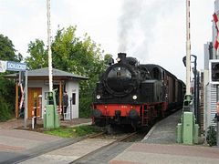 IMG_0108 (Medium)